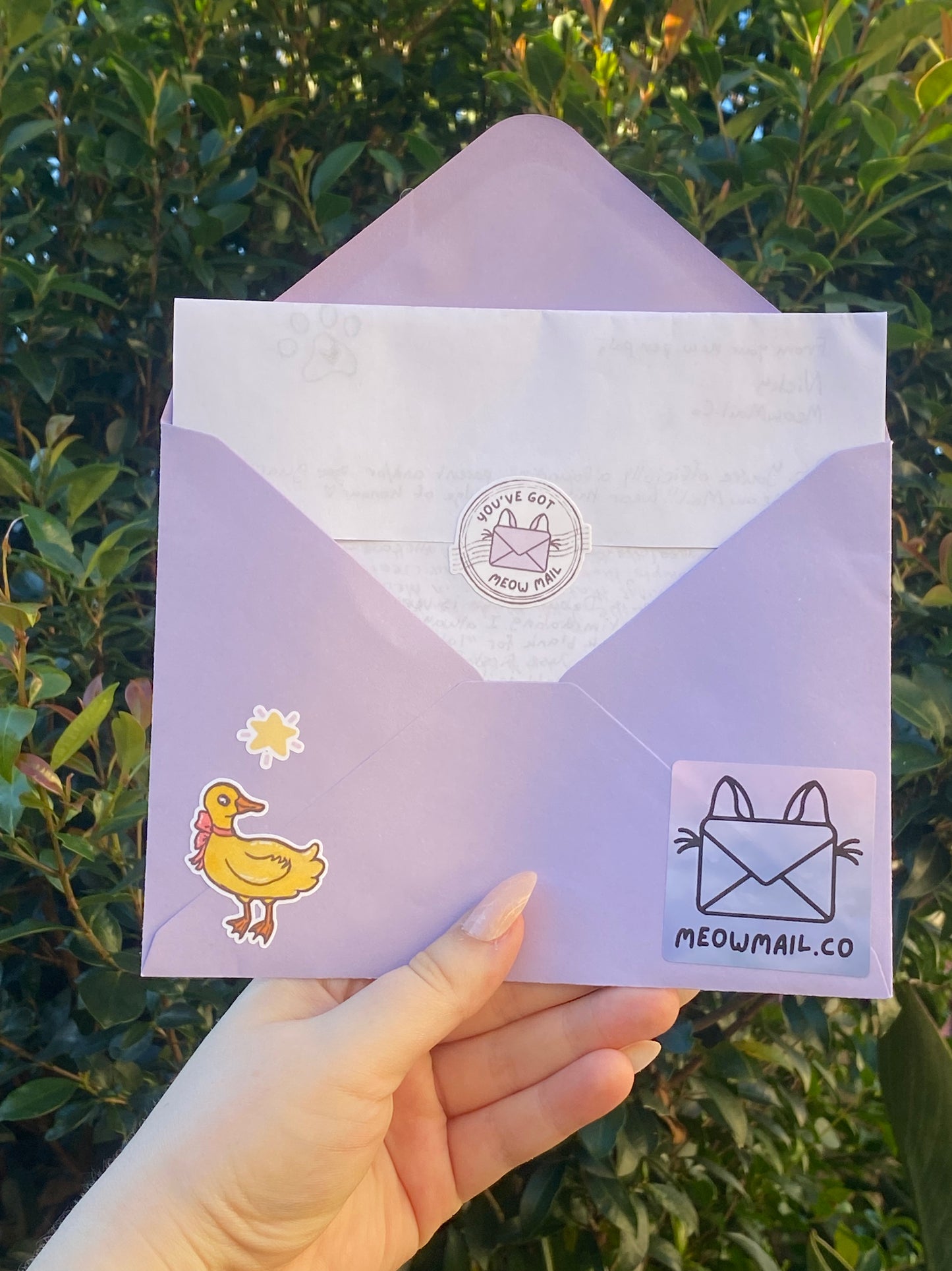 Meow Mail - A Monthly Zine Mail Club